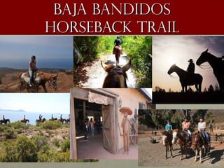 Baja bandidosBaja bandidos
horseback trailhorseback trail
 