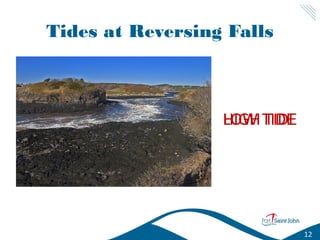 Tides at Reversing Falls

HIGH TIDE
LOW TIDE

12

 