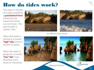 How do tides work?
The water in the Bay
of Fundy is pulled by
a gravitational force
created by the
movement of the
sun and moon. The
pull of water is
called a ‘tide.’
When the water is
coming in it creates
“high” tide (when it
reaches its peak).
When the water is
going out, it creates
“low” tide” (and
therefore more
beach or shoreline).

St. Martins Sea Caves

Hopewell Rocks
13

 