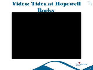 Video: Tides at Hopewell
Rocks

14

 
