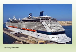 Celebrity Silhouette
 