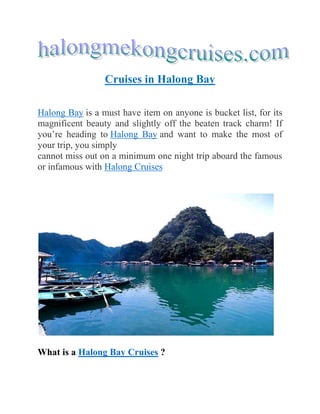 Cruises in Halong Bay
Halong Bay is a must have item on anyone is bucket list, for its
magnificent beauty and slightly off the beaten track charm! If
you’re heading to Halong Bay and want to make the most of
your trip, you simply
cannot miss out on a minimum one night trip aboard the famous
or infamous with Halong Cruises
What is a Halong Bay Cruises ?
 