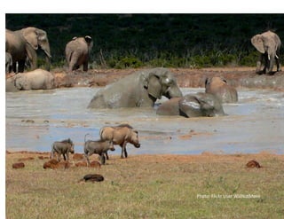 Photo:
Flickr
User
WillNotMove