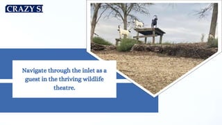 Navigate through the inlet as a
guest in the thriving wildlife
theatre.
 