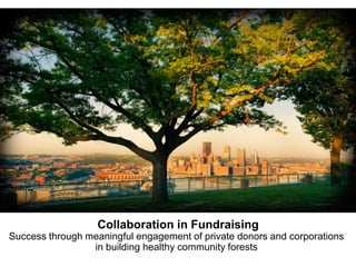 Collaboration in Fundraising
Success through meaningful engagement of private donors and corporations
in building healthy community forests

 