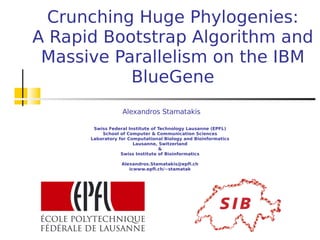 Crunching Huge Phylogenies:
A Rapid Bootstrap Algorithm and
 Massive Parallelism on the IBM
           BlueGene
                  Alexandros Stamatakis

       Swiss Federal Institute of Technology Lausanne (EPFL)
          School of Computer & Communication Sciences
      Laboratory for Computational Biology and Bioinformatics
                       Lausanne, Switzerland
                                  &
                  Swiss Institute of Bioinformatics

                  Alexandros.Stamatakis@epfl.ch
                     icwww.epfl.ch/~stamatak