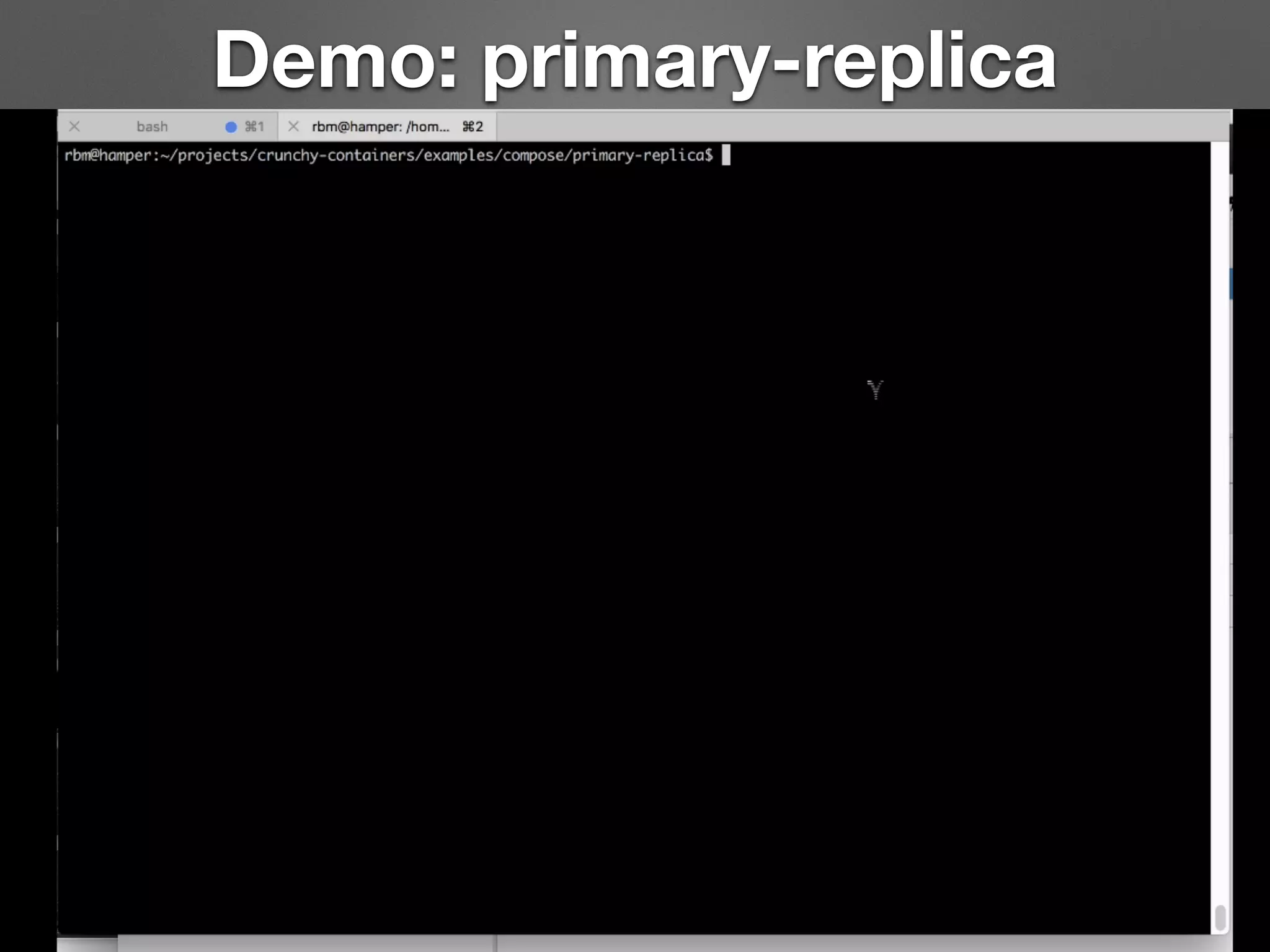 Demo: primary-replica 