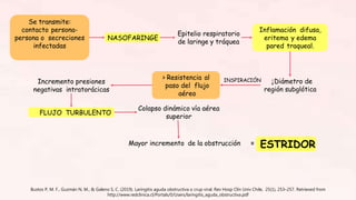 Bustos P, M. F., Guzmán N, M., & Galeno S, C. (2019). Laringitis aguda obstructiva o crup viral. Rev Hosp Clín Univ Chile, 25(1), 253–257. Retrieved from
http://www.redclinica.cl/Portals/0/Users/laringitis_aguda_obstructiva.pdf
Se transmite:
contacto persona-
persona o secreciones
infectadas
NASOFARINGE
Epitelio respiratorio
de laringe y tráquea
Inflamación difusa,
eritema y edema
pared traqueal.
↓Diámetro de
región subglótica
> Resistencia al
paso del flujo
aéreo
INSPIRACIÓN
FLUJO TURBULENTO
ESTRIDOR
Incremento presiones
negativas intratorácicas
Colapso dinámico vía aérea
superior
Mayor incremento de la obstrucción =
 
