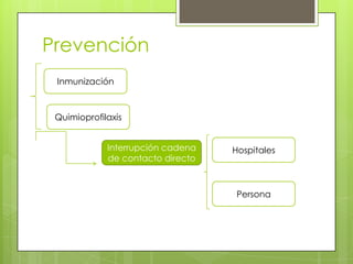Prevención
Inmunización

Quimioprofilaxis
Interrupción cadena
de contacto directo

Hospitales

Persona

 