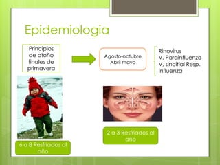Epidemiologia
Principios
de otoño
finales de
primavera

6 a 8 Resfriados al
año

Agosto-octubre
Abril mayo

2 a 3 Resfriados al
año

Rinovirus
V. Parainfluenza
V, sincitial Resp.
Influenza

 