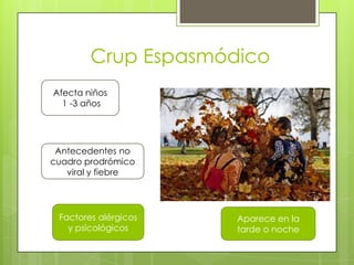 Crup Espasmódico
Afecta niños
1 -3 años

Antecedentes no
cuadro prodrómico
viral y fiebre

Factores alérgicos
y psicológicos

Aparece en la
tarde o noche

 