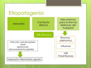 Etiopatogenia
Aerosoles

Contacto
directo

Mecanismos
para evitar las
defensas del
huésped

VSR, Rinovirus
Infección viral del epitelio
nasal
destrucción
del revestimiento epitelial

Rinovirus ,
adenovirus
Influenza
VSR
Parainfluenza

respuesta inflamatoria aguda

 