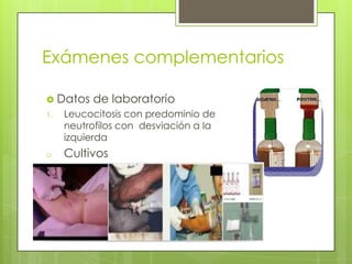 Exámenes complementarios
 Datos
1.

o

de laboratorio

Leucocitosis con predominio de
neutrofilos con desviación a la
izquierda

Cultivos

 