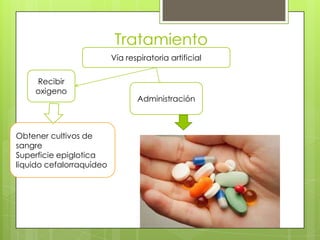 Tratamiento
Vía respiratoria artificial
Recibir
oxigeno

Obtener cultivos de
sangre
Superficie epiglotica
liquido cefalorraquídeo

Administración

 