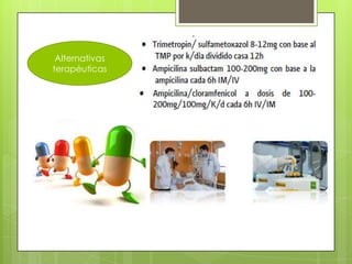 Alternativas
terapéuticas

 