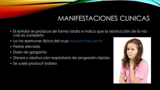 MANIFESTACIONES CLINICAS
• El estridor se produce de forma tardía e indica que la obstrucción de la vía
casi es completa
• La tos «perruna» típica del crup es poco frecuente
• Fiebre elevada
• Dolor de garganta
• Disnea y obstrucción respiratoria de progresión rápida.
• Se suele producir babeo
 