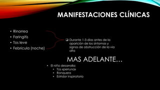 MANIFESTACIONES CLÍNICAS
• Rinorrea
• Faringitis
• Tos leve
• Febricula (noche)
 Durante 1-3 días antes de la
aparición de los síntomas y
signos de obstrucción de la via
alta
MAS ADELANTE…
• El niño desarrolla:
• Tos «perruna»
• Ronquera
• Estridor inspiratorio
 