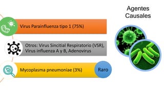 Virus Parainfluenza tipo 1 (75%)
Otros: Virus Sincitial Respiratorio (VSR),
Virus influenza A y B, Adenovirus
Mycoplasma pneumoniae (3%) Raro
Agentes
Causales
 