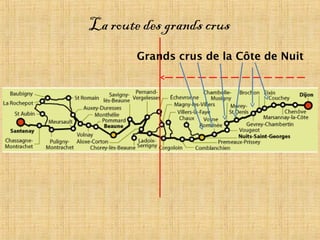 La route des grands crus
Grands crus de la Côte de Nuit
