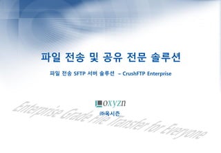 파일 전송 및 공유 전문 솔루션
파일 전송 SFTP 서버 솔루션 – CrushFTP Enterprise
㈜옥시즌
 
