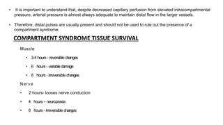 • It is important to understand that, despite decreased capillary perfusion from elevated intracompartmental
pressure, arterial pressure is almost always adequate to maintain distal flow in the larger vessels.
• Therefore, distal pulses are usually present and should not be used to rule out the presence of a
compartment syndrome.
COMPARTMENT SYNDROME TISSUE SURVIVAL
Muscle
• 3-4hours- reversible changes
• 6 hours- variabledamage
• 8 hours- irreversible changes
Nerve
• 2 hours- looses nerve conduction
• 4 hours– neuropraxia
• 8 hours- irreversible changes
 