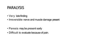 PARALYSIS
• Very latefinding
• Irreversible nerve and muscle damage present
• Paresis maybe present early
• Difficult to evaluate because of pain.
 