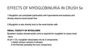 EFFECTS OF MYOGLOBINURIA IN CRUSH Sx
1.Myoglobin can precipitate (particularly with hypovolemia and acidosis) and
directly obstruct renal tubular flow
2.Myoglobin is also directly toxic to the renal tubular cells
RENAL TOXICITY OF MYOGLOBIN
Bywaters' studies showed acidic urine is required for myoglobin to cause renal
injury
At pH < 5.6, myoglobin dissociates into its 2 components :
1.Globin (shown nontoxic if infused)
2.Ferrihemate (probably the toxic component)
 