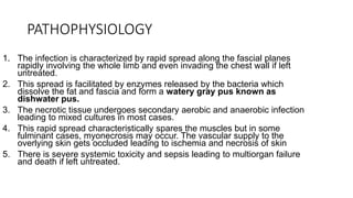 PATHOPHYSIOLOGY
1. The infection is characterized by rapid spread along the fascial planes
rapidly involving the whole limb and even invading the chest wall if left
untreated.
2. This spread is facilitated by enzymes released by the bacteria which
dissolve the fat and fascia and form a watery gray pus known as
dishwater pus.
3. The necrotic tissue undergoes secondary aerobic and anaerobic infection
leading to mixed cultures in most cases.
4. This rapid spread characteristically spares the muscles but in some
fulminant cases, myonecrosis may occur. The vascular supply to the
overlying skin gets occluded leading to ischemia and necrosis of skin
5. There is severe systemic toxicity and sepsis leading to multiorgan failure
and death if left untreated.
 
