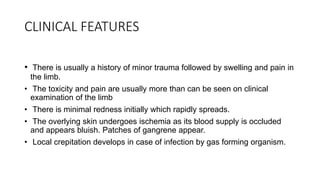 CLINICAL FEATURES
• There is usually a history of minor trauma followed by swelling and pain in
the limb.
• The toxicity and pain are usually more than can be seen on clinical
examination of the limb
• There is minimal redness initially which rapidly spreads.
• The overlying skin undergoes ischemia as its blood supply is occluded
and appears bluish. Patches of gangrene appear.
• Local crepitation develops in case of infection by gas forming organism.
 