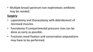 • Multiple broad spectrum non nephrotoxic antibiotic
may be needed.
Surgery-
• Laparotomy and thoracotomy with debridement of
necrosed muscles.
• Fasciotomy if compartmental pressure rises can be
done as early as possible.
• Fractures need fixation and conservative amputations
may have to be performed.
 