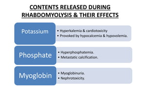CONTENTS RELEASED DURING
RHABDOMYOLYSIS & THEIR EFFECTS
• Hyperkalemia & cardiotoxicity
• Provoked by hypocalcemia & hypovolemia.
Potassium
• Hyperphosphatemia.
• Metastatic calcification.Phosphate
• Myoglobinuria.
• Nephrotoxicity.Myoglobin
 
