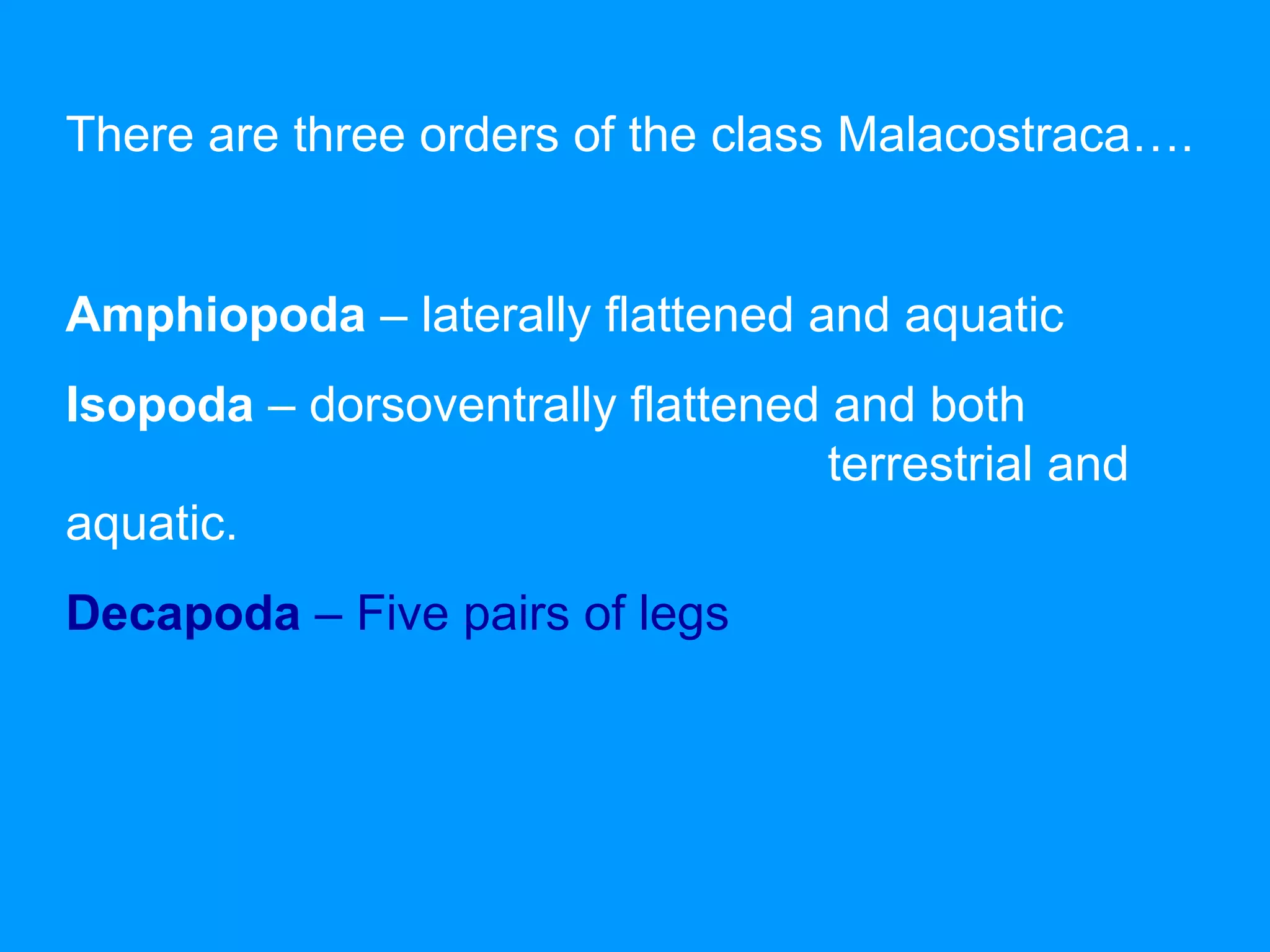 There are three orders of the class Malacostraca….
Amphiopoda – laterally flattened and aquatic
Isopoda – dorsoventrally flattened and both
terrestrial and
aquatic.
Decapoda – Five pairs of legs
 