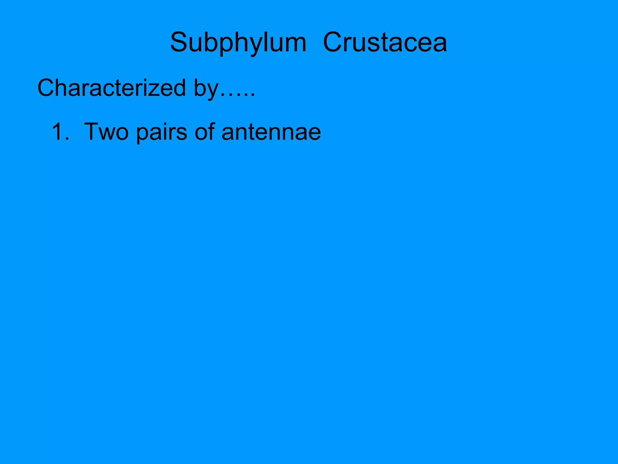 Subphylum Crustacea
Characterized by…..
1. Two pairs of antennae
 