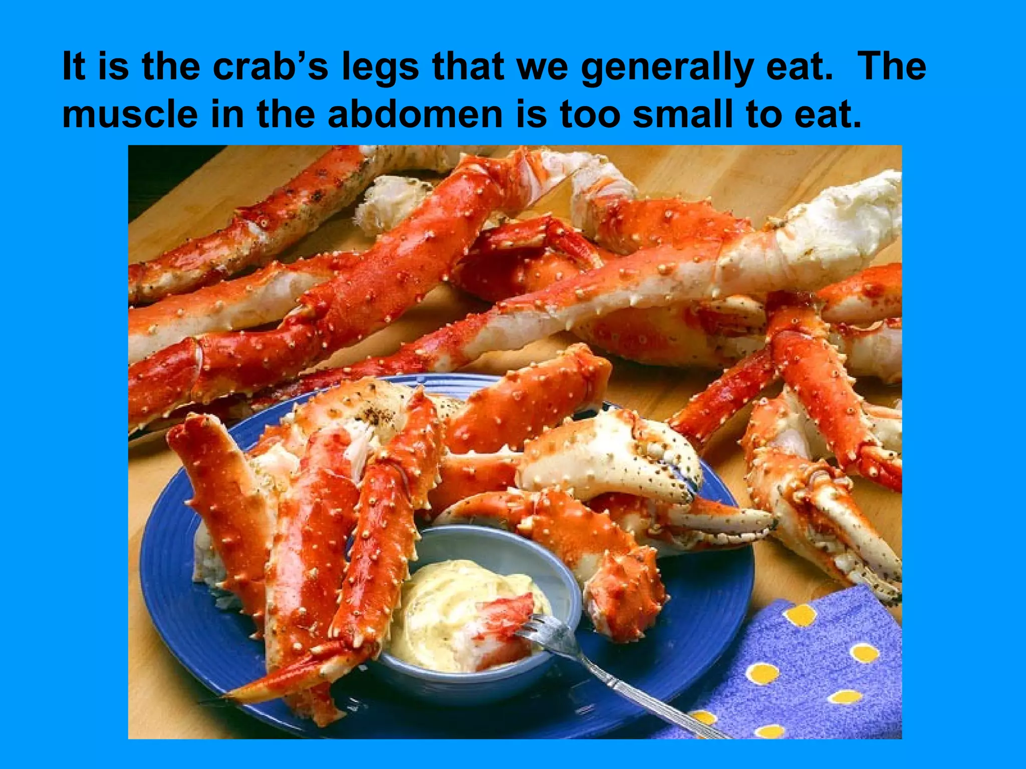 It is the crab’s legs that we generally eat. The
muscle in the abdomen is too small to eat.
 