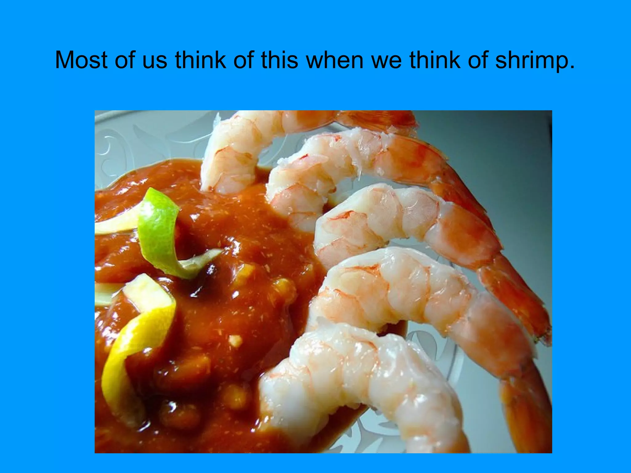 Most of us think of this when we think of shrimp.
 