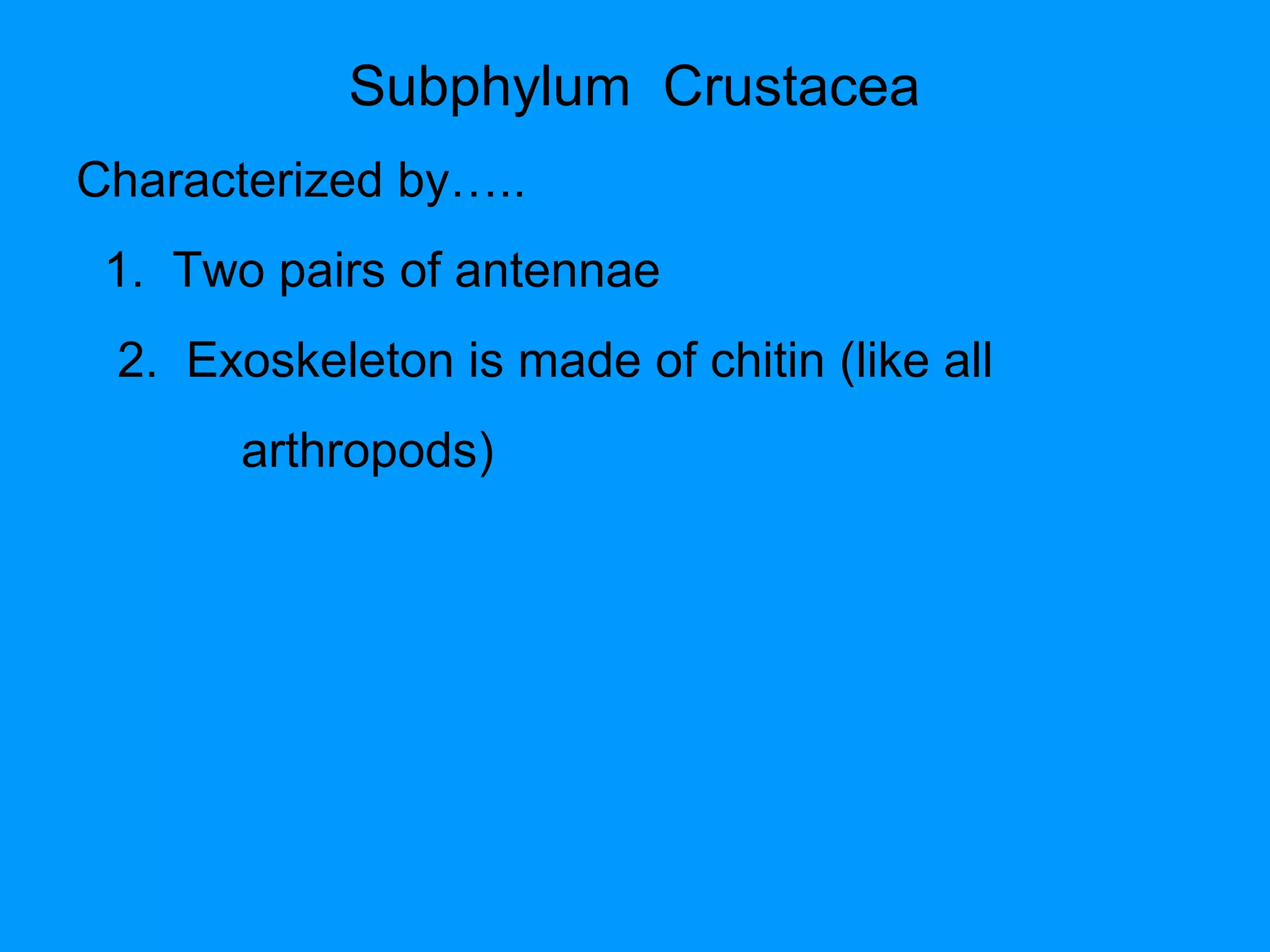 Subphylum Crustacea
Characterized by…..
1. Two pairs of antennae
2. Exoskeleton is made of chitin (like all
arthropods)
 