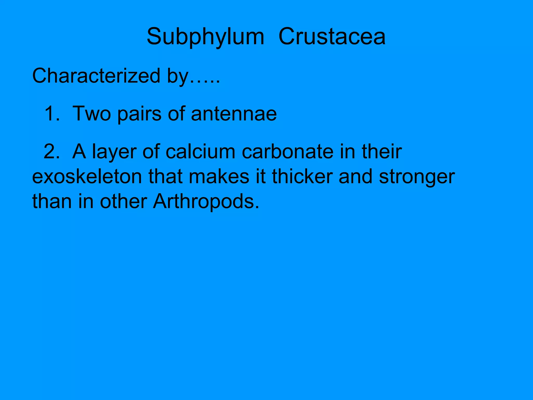 Subphylum Crustacea
Characterized by…..
1. Two pairs of antennae
2. A layer of calcium carbonate in their
exoskeleton that makes it thicker and stronger
than in other Arthropods.
 