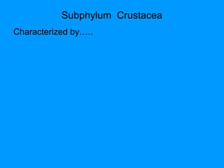 Subphylum Crustacea
Characterized by…..
 
