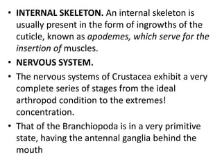 • INTERNAL SKELETON. An internal skeleton is
usually present in the form of ingrowths of the
cuticle, known as apodemes, which serve for the
insertion of muscles.
• NERVOUS SYSTEM.
• The nervous systems of Crustacea exhibit a very
complete series of stages from the ideal
arthropod condition to the extremes!
concentration.
• That of the Branchiopoda is in a very primitive
state, having the antennal ganglia behind the
mouth
 
