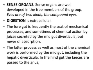 • SENSE ORGANS. Sense organs are well
developed in the free members of the group.
Eyes are of two kinds, the compound eyes.
• DIGESTION is extracellular.
• The fore gut is frequently the seat of mechanical
processes, and sometimes of chemical action by
juices secreted by the mid gut diverticula, but
never of absorption.
• The latter process as well as most of the chemical
work is performed by the mid gut, including the
hepatic diverticula. In the hind gut the faeces are
passed to the anus,
 