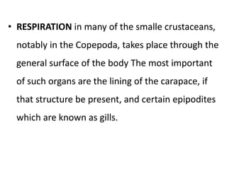 • RESPIRATION in many of the smalle crustaceans,
notably in the Copepoda, takes place through the
general surface of the body The most important
of such organs are the lining of the carapace, if
that structure be present, and certain epipodites
which are known as gills.
 