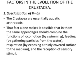 FACTORS IN THE EVOLUTION OF THE
CRUSTACEA.
1. Specialization of limbs
• The Crustacea are essentially aquatic
arthropods.
• That fact alone makes it possible that in them
the same appendages should combine the
functions of locomotion (by swimming), feeding
(by gathering particles from the water),
respiration (by exposing a thinly covered surface
to the medium), and the reception of sensory
stimuli.
 