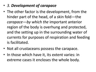 • 3. Development of carapace
• The other factor is the development, from the
hinder part of the head, of a skin fold—the
carapace—by which the important anterior
region of the body is overhung and protected,
and the setting up in the surrounding water of
currents for purposes of respiration and feeding
is facilitated.
• Not all crustaceans possess the carapace.
• In those which have it, its extent varies: in
extreme cases it encloses the whole body.
 