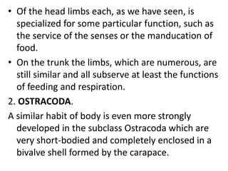 • Of the head limbs each, as we have seen, is
specialized for some particular function, such as
the service of the senses or the manducation of
food.
• On the trunk the limbs, which are numerous, are
still similar and all subserve at least the functions
of feeding and respiration.
2. OSTRACODA.
A similar habit of body is even more strongly
developed in the subclass Ostracoda which are
very short-bodied and completely enclosed in a
bivalve shell formed by the carapace.
 