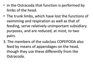• in the Ostracoda that function is performed by
limbs of the head.
• The trunk limbs, which have lost the functions of
swimming and respiration as well as that of
feeding, serve relatively unimportant subsidiary
purposes, and are reduced, at most, to two
pairs.
3. The members of the subclass COPEPODA also
feed by means of appendages on the head,
though they use these differently from the
Ostracoda.
 