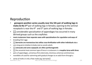 ReproducEon	
  
•  	
   gonopore	
  posiBon	
  varies	
  usually	
  near	
  the	
  5th	
  pair	
  of	
  walking	
  legs	
 ...