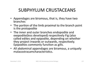 Crustacean lecture