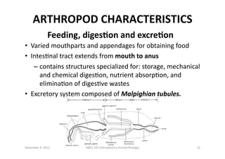 ARTHROPOD	
  CHARACTERISTICS	
  
Feeding,	
  digesBon	
  and	
  excreBon	
  
•  Varied	
  mouthparts	
  and	
  appendages	...