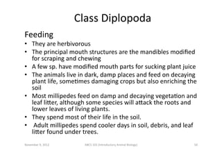 Class	
  Diplopoda	
  
Feeding	
  

•  They	
  are	
  herbivorous	
  
•  The	
  principal	
  mouth	
  structures	
  are	
 ...