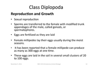 Class	
  Diplopoda	
  
ReproducBon	
  and	
  Growth	
  
•  Sexual	
  reproducEon	
  
•  Sperms	
  are	
  transferred	
  to...